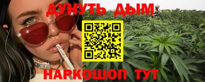 сатива Новодвинск