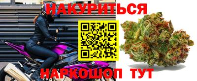 прущие крисы Новокубанск